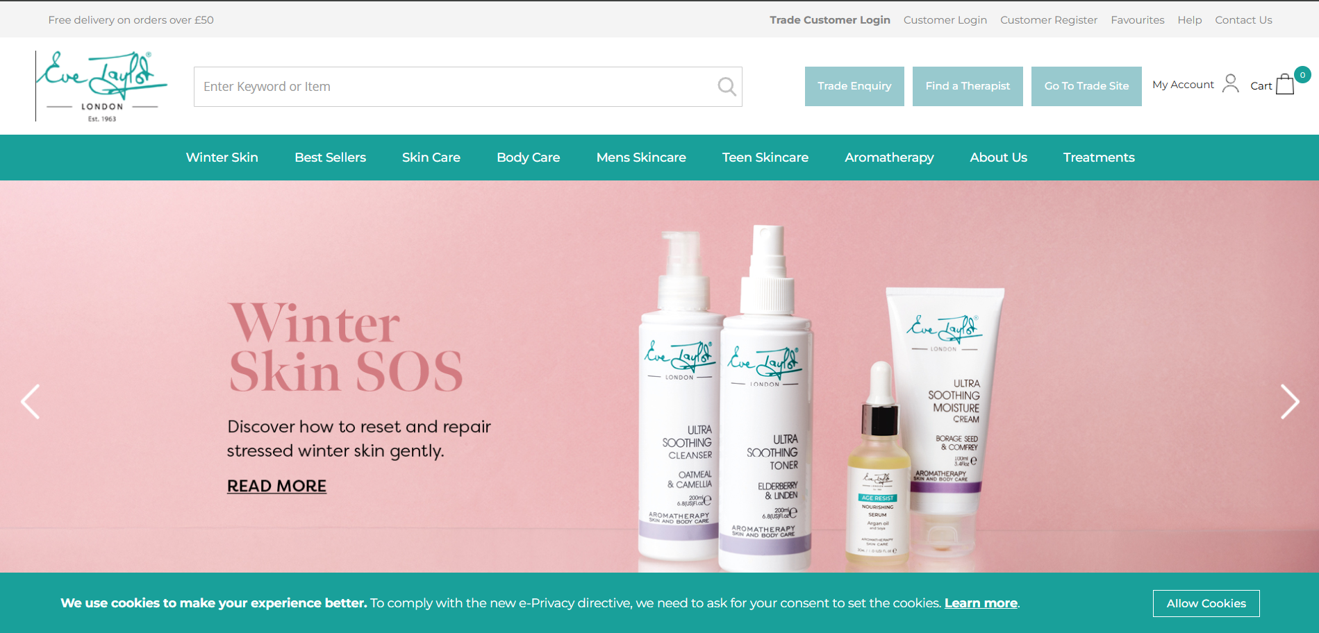 Website Development - Magneto 2.0