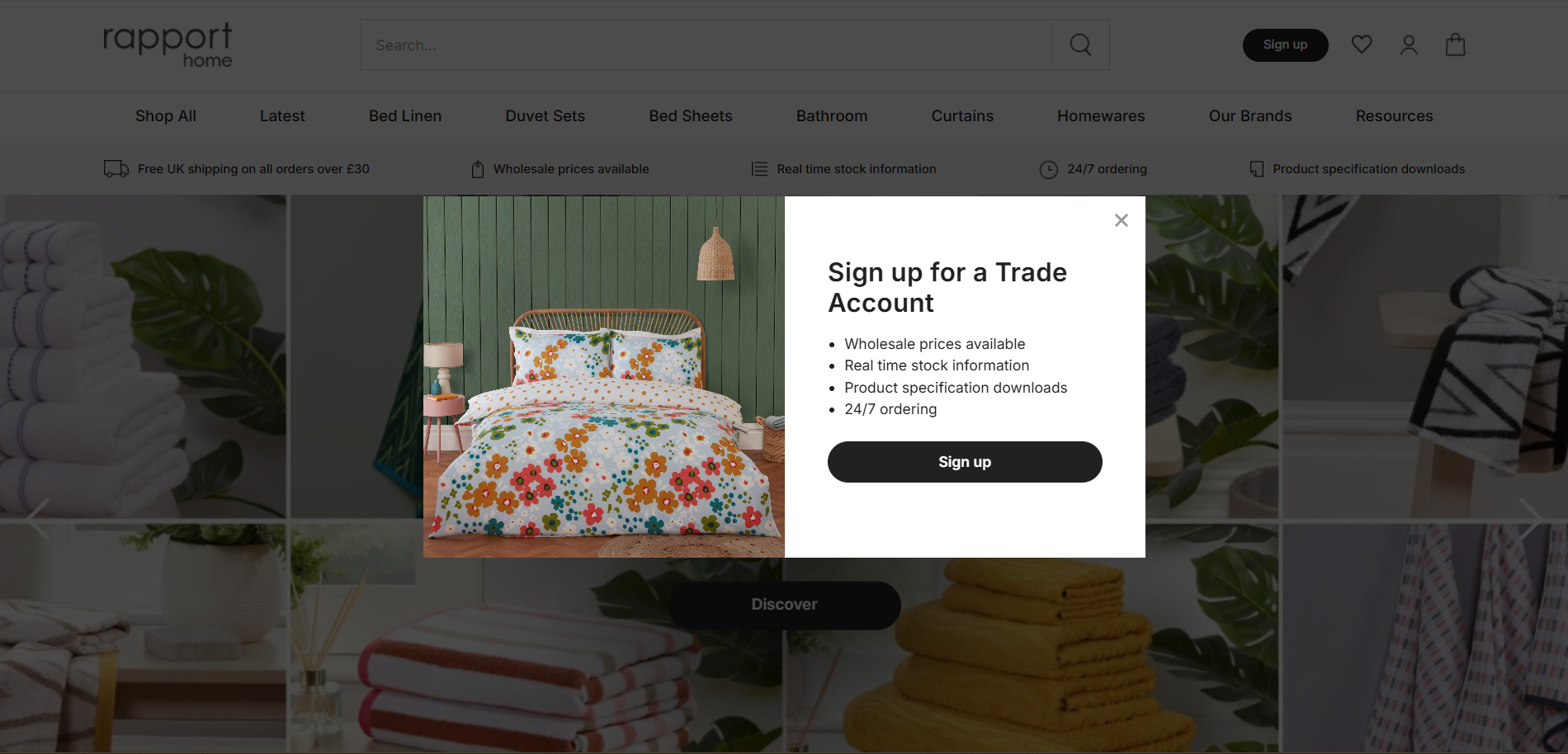Website Development - BigCommerce 